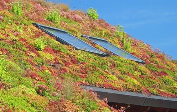 Newbiggings living roof systems