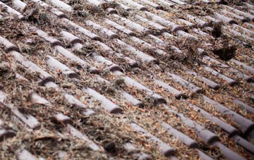 Newbiggings roof cleaning companies