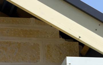soffit repair Newbiggings