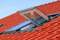 Newbiggings roof window